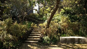 El recinto tienen senderos rodeados