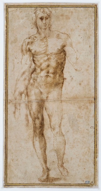 Muestra Rodin-Miguel Angel