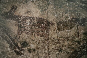 Algunos estudios aprecian cacerías, guerras,