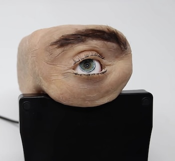 Eyecam fue desarrollada para ver