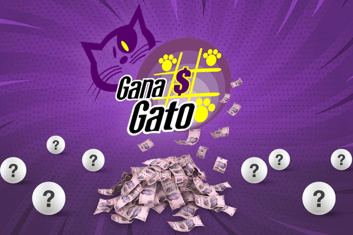 Strategic grid placement techniques for Gana Gato players
