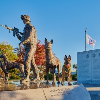 Bass fue desplegado en múltiples