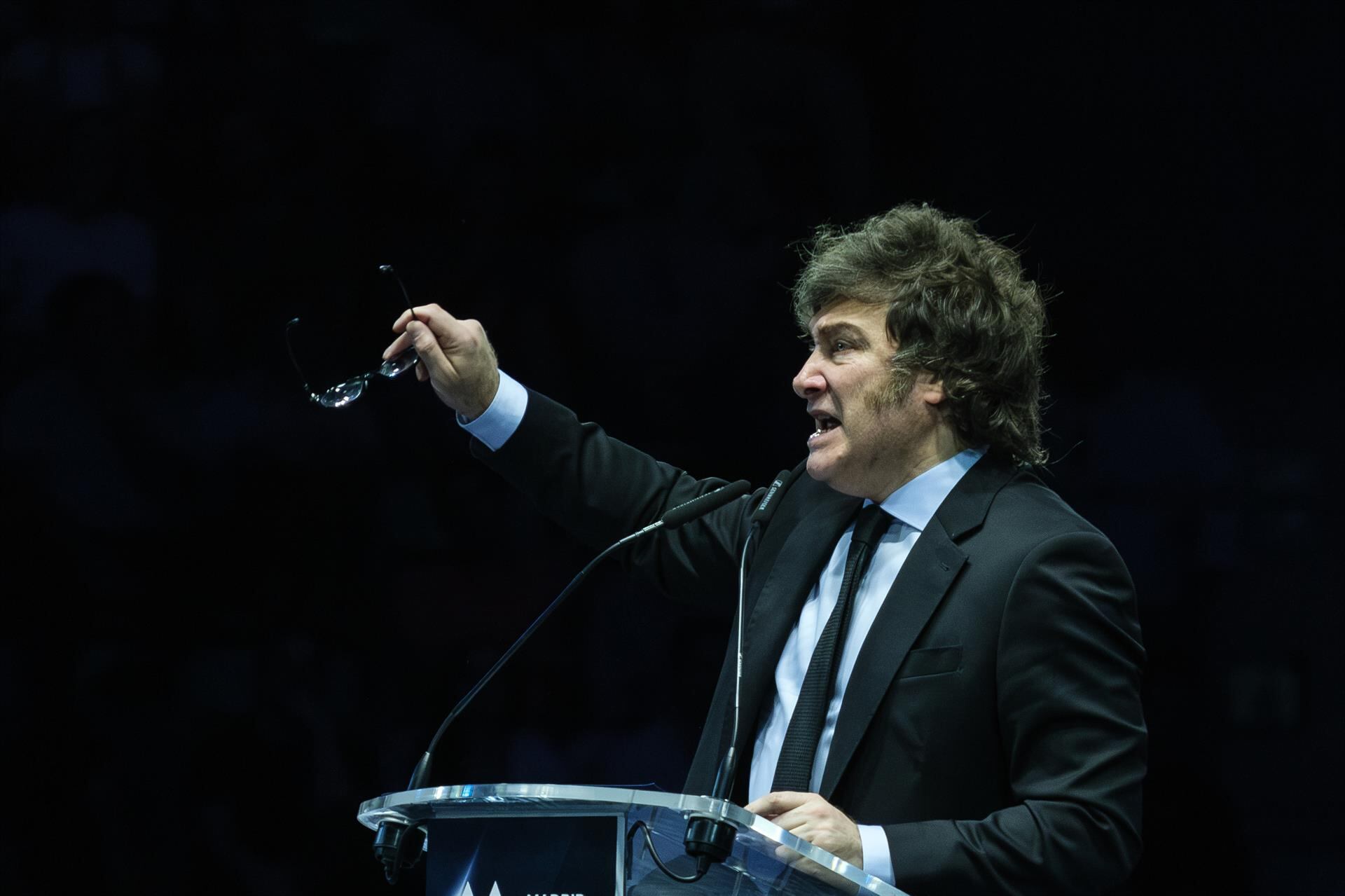 Javier Milei habla y gesticula durante un acto