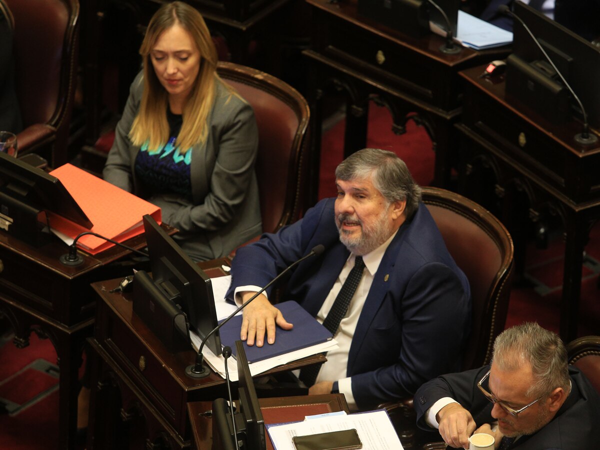 Milei's Congress Speech: 35 Bills, Kept Promises, Future Management José Mayans Formoseño Senator