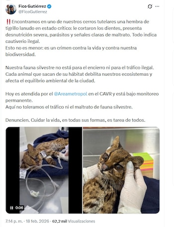 El alcalde Federico Gutiérrez denunció