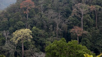 La innovación "inclusiva" es vital