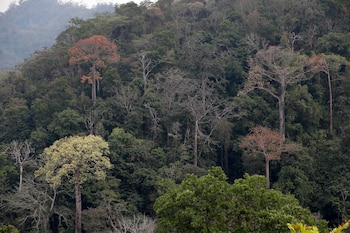 Imagen FBUCNLDKNBCMFJBS5U6FQ6BF7Y