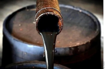 14/01/2026 Senadora Laura Itzel Castillo defiende que México puede vender o regalar petróleo a Cuba por soberanía histórica
ECONOMIA CENTROAMÉRICA MÉXICO POLÍTICA
Cedida