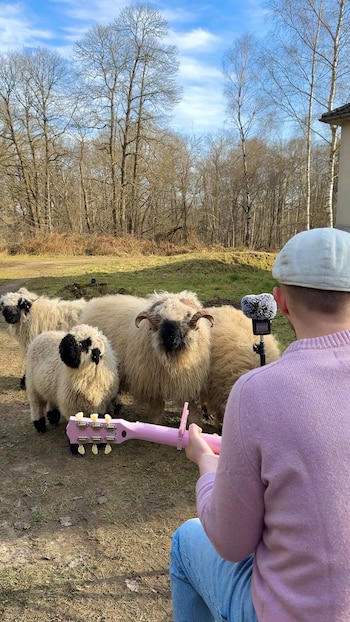 Entre posteo y posteo, los