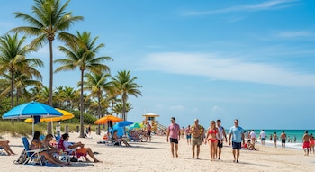 Numerosas personas disfrutan de un