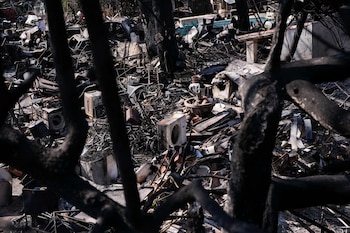Zona afectada por el incendio del oeste de la Comunidad de Madrid en la localidad de Pelayos de la Presa. (EFE/ Borja Sánchez-trillo)
