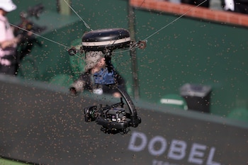 Un enjambre de abejas inunda la pista y obliga a suspender el partido entre Alcaraz y Zverev en Indian Wells (EFE/EPA/JOHN G. MABANGLO)