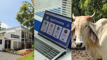 El Salvador lanza AgroConecta, una plataforma digital para asistir al sector agropecuario