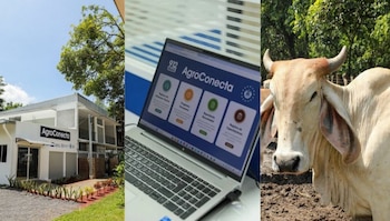 Ministerio de Agricultura, El Salvador, AgroConecta