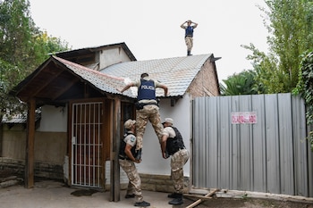 El criadero clandestino exhibía hacinamiento,