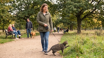 Uma jovem de jaqueta verde e jeans leva um gato com coleira e coleira em uma estrada de terra. Existem árvores, grama e outras pessoas com cachorros.