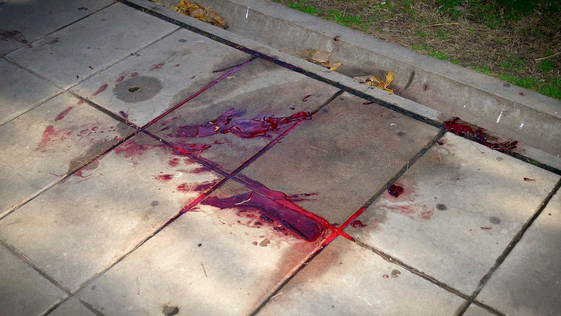 La sangre de Díaz en la escena del crimen (Foto/Gustavo Gavotti)