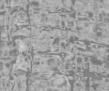 Otra de las imágenes del