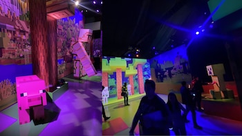 Minecraft Experience