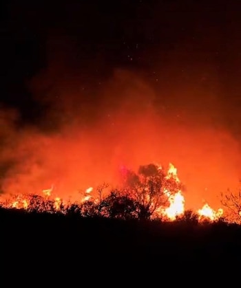 El siniestro generó alerta entre