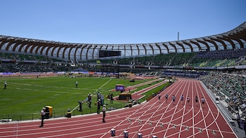 Una vista de las canchas