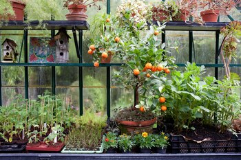 ARCHIVO - Un jardín de