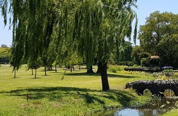 Otra postal de su zona