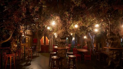 La cafetería de Barcelona que recrea un bosque encantado: tapas, cócteles y vino en un ambiente mágico