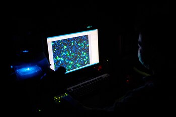 El desarrollo de este enfoque