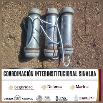 Las acciones fueron realizadas por