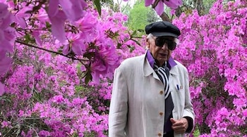 Primer plano de Julio Le Parc, un hombre mayor con gorra negra y gafas de sol, vistiendo una chaqueta beige y bufanda, entre densos arbustos de flores fucsia