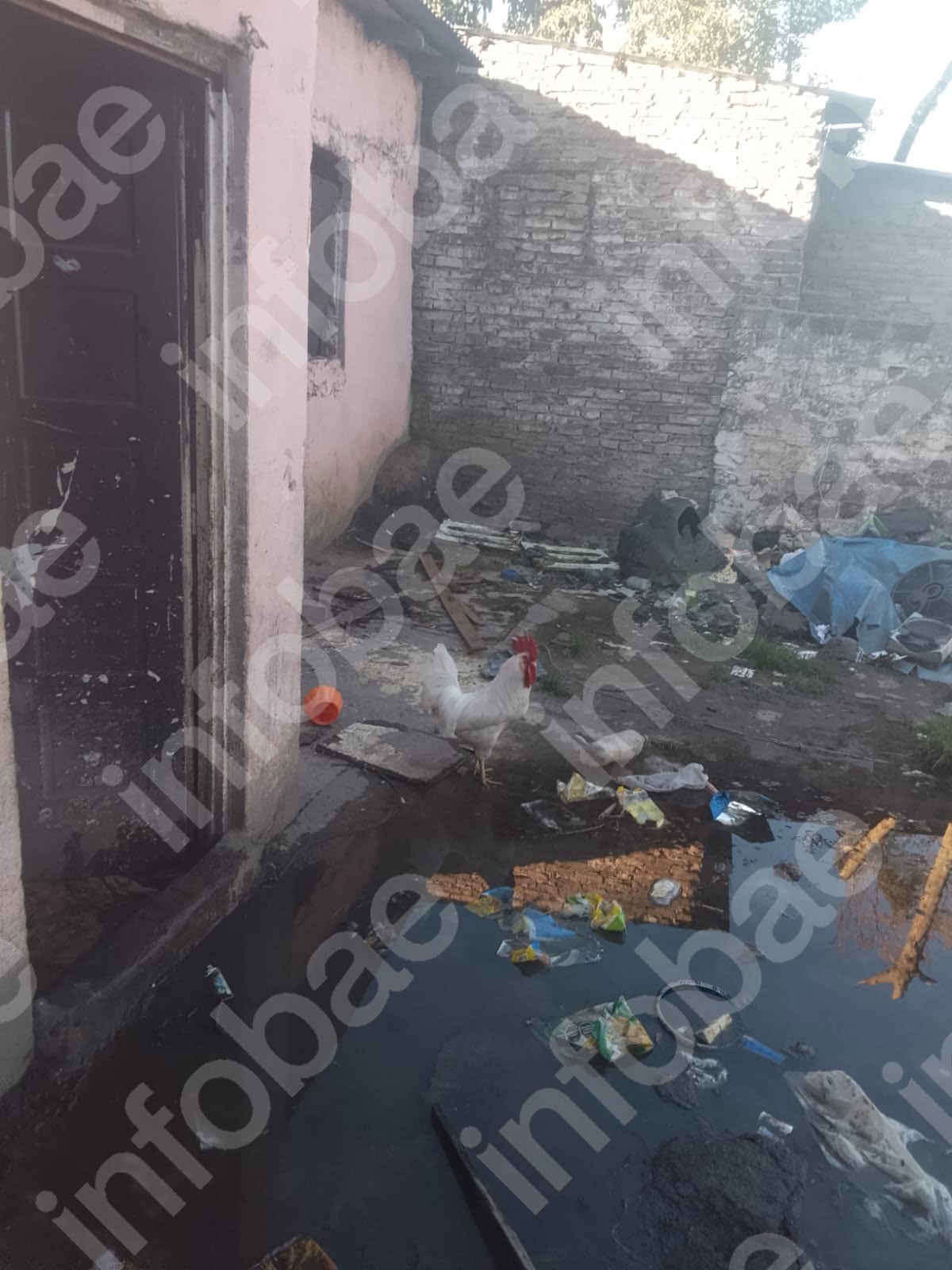 El domicilio rodeado de basura