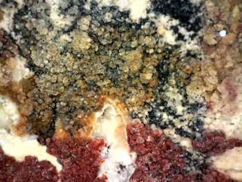 Los colores de los murales