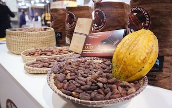 El cacao es excelente fuente