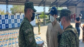 Incautado alcaloide avaluado en más