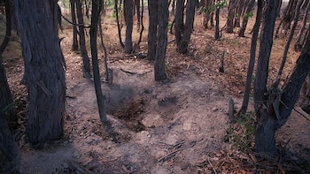 Rachel Barber crimen bailarina
