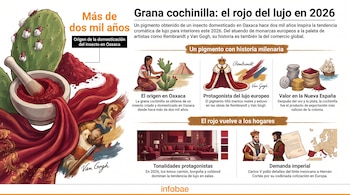 Infografía de la grana cochinilla que muestra el insecto en un nopal, polvo de pigmento, un mortero, vestimenta, arte, monedas, un barco, una sala y un mapa.
