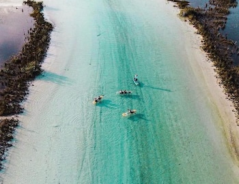 Vista aérea de un canal de agua turquesa claro. Cuatro personas en botes y tablas de remo. Orillas con vegetación oscura a ambos lados