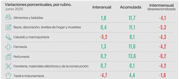 Variaciones porcentuales por rubro (CAME)
