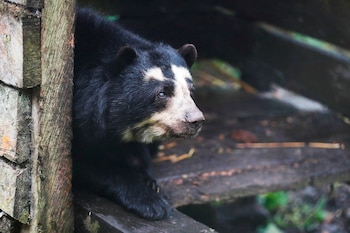 Fotografía fechada el 6 de