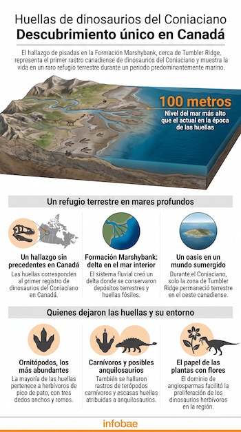 Infografía con un modelo tridimensional de un delta fluvial, mapas de ubicación, tres tipos de huellas de dinosaurio e iconos explicativos.