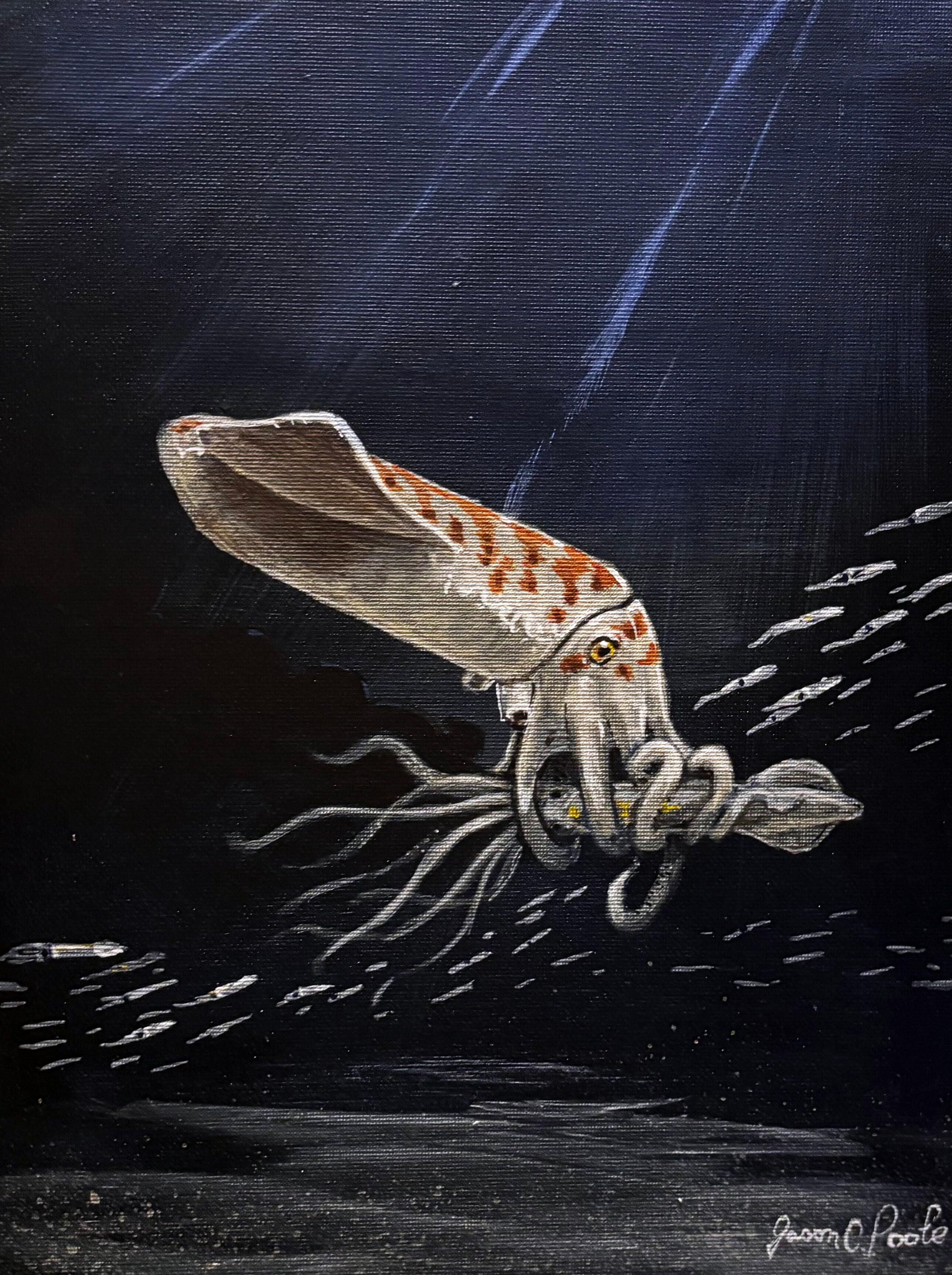 La tomografía computarizada permitió identificar sin dañar los ejemplares de Wyoteuthis linsterorum, un belemnite emparentado con calamares y pulpos actuales (Crédito: Jessica Lippincott)