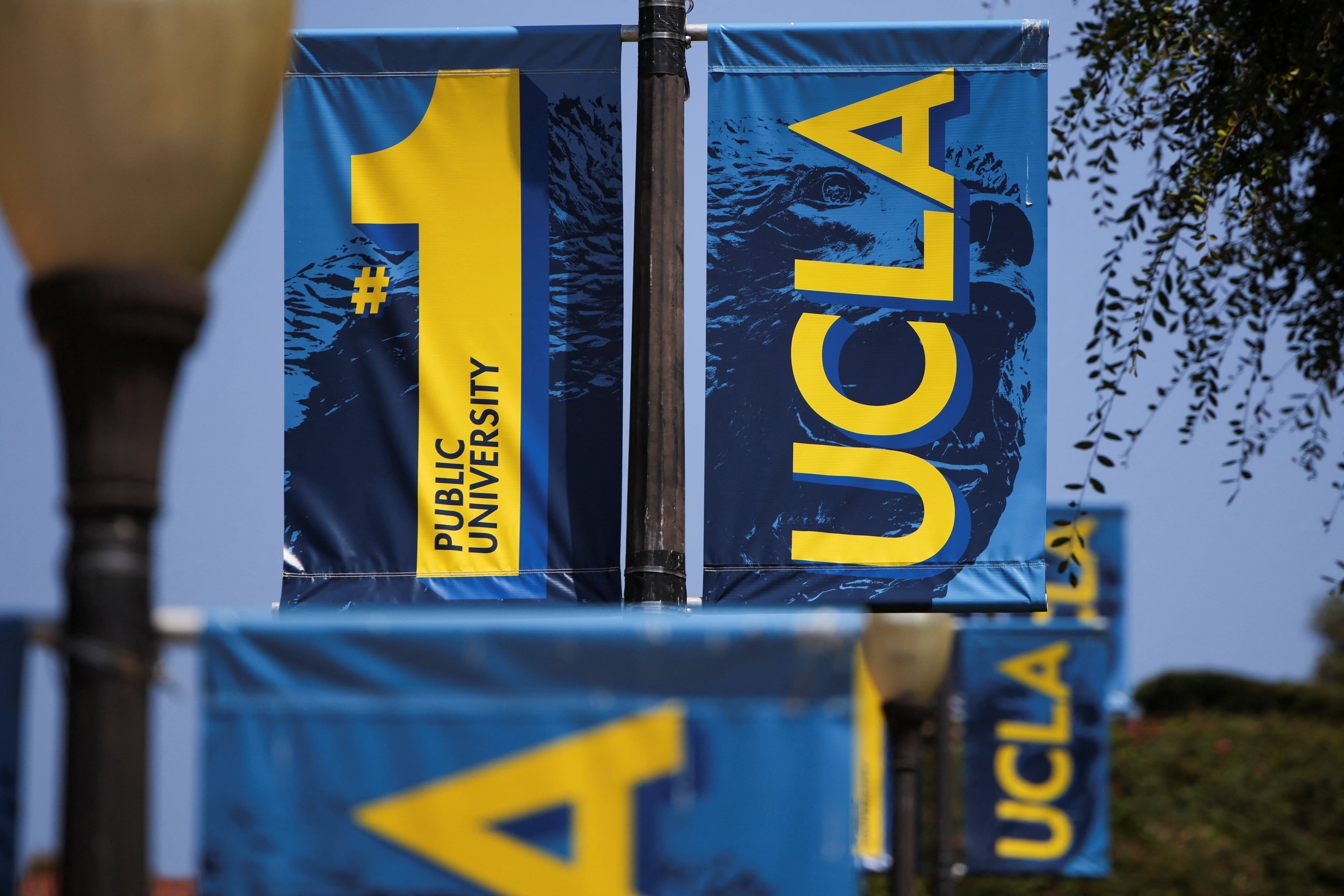 El nuevo Departamento de Humanidades Digitales de UCLA nació de una especialización que en 15 años pasó de 25 estudiantes por año a convertirse en una de las más elegidas del campus (REUTERS/Daniel Cole)
