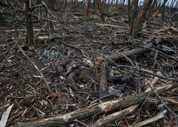 MATERIAL SENSIBLE. Un cuerpo de un soldado ruso muerto yace en una posición después de un combate, mientras continúa el ataque de Rusia contra Ucrania, cerca de la ciudad de Bakhmut, en la línea del frente, en la región de Donetsk, Ucrania 11 de mayo 2023. Radio Free Europe/Radio Liberty/Serhii Nuzhnenko vía REUTERS/Archivo