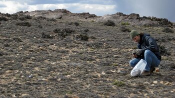 Santa Cruz: identificaron plantas y