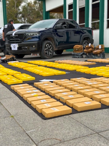 la psa desarticuló una organización narco y secuestró mas de 200 kilos de cocaína