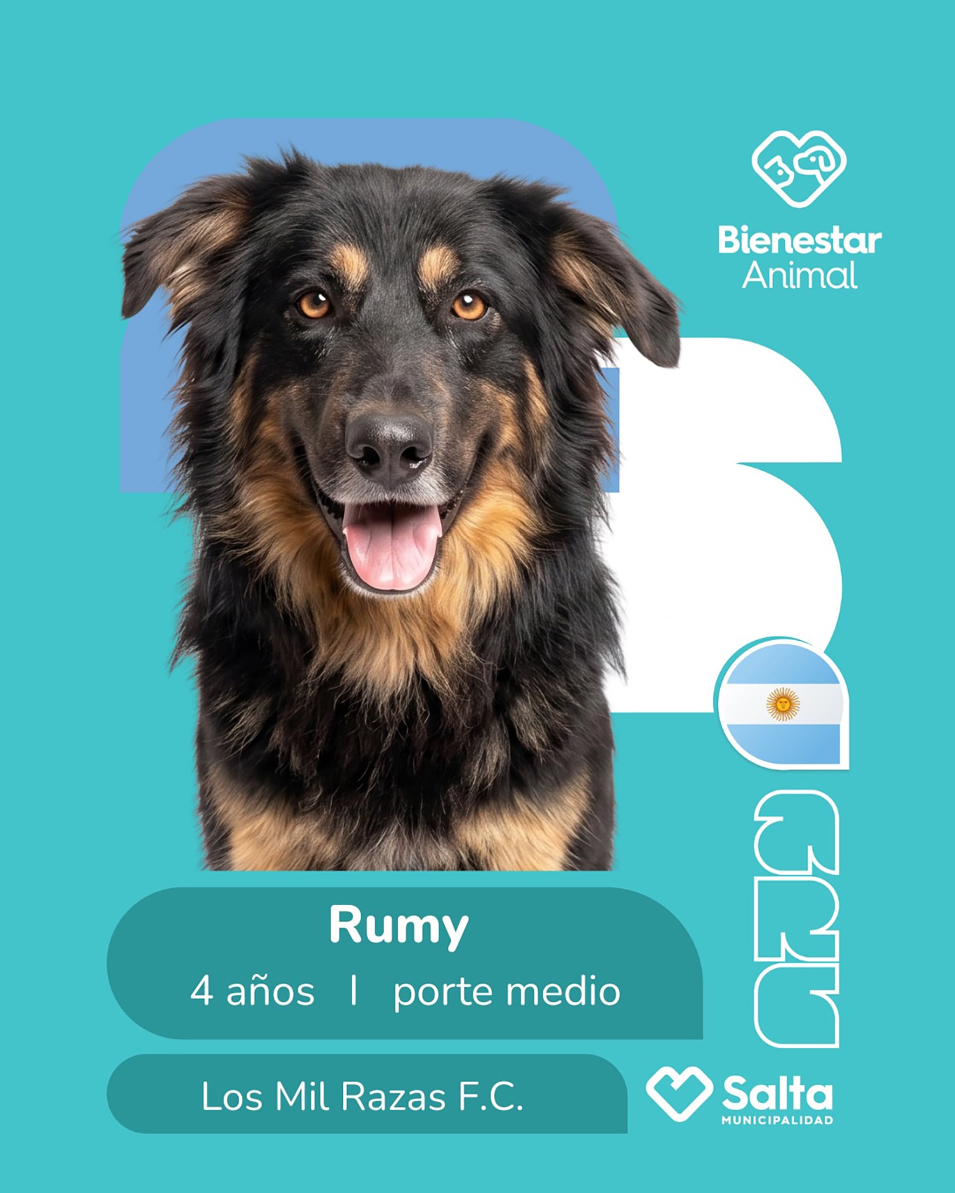 El centro de adopción se encuentra en la ciudad de Salta.