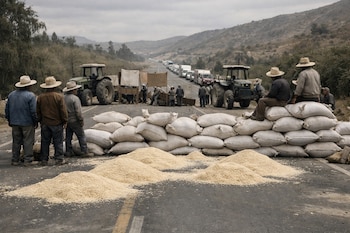 Carretera rural bloqueada por una barricada de sacos de grano y tractores, con montones de arroz en el asfalto, gente y una fila de vehículos detenidos