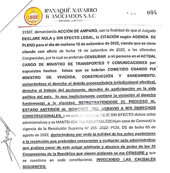 Demanda de amparo de Geiner