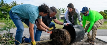 O projeto internacional visa plantar um milhão de árvores nas florestas e mais de 12 mil nas cidades-sede da Copa do Mundo no México. (Foto: FIFA)